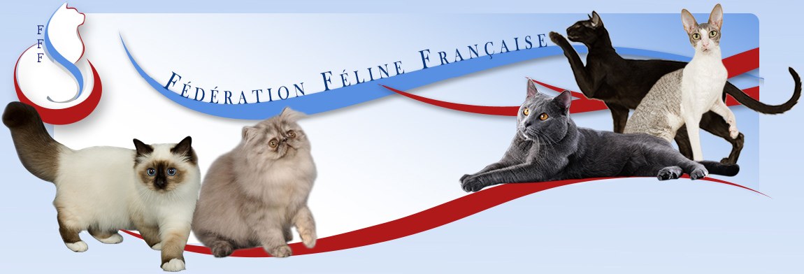 Fédération Française Féline